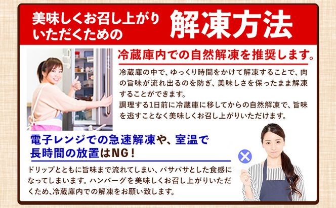 ステーキマニア監修 熊本県産 あか牛 100% 生ハンバーグ 140g×39個入り 合計5460g 5.46kg以上 《30日以内に出荷予定(土日祝除く)》熊本県産あか牛  冷凍 ハンバーグ---ng_faknhamb_30d_24_33000_5460g---