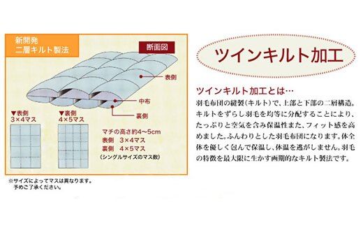 【18-9】ザ・羽毛布団 エクセルゴールドラベル クイーン 210×210cmイングランド産ホワイトダックダウン90％ 日本羽毛製品共同組合品質推奨ラベル付き 羽毛 掛け布団 ツインキルト【251-000053-10】