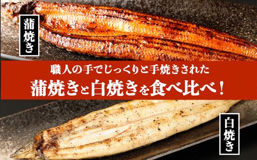 鹿児島県大隅産 千歳鰻の白焼3尾・蒲焼き3尾【CH122】