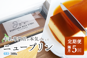 【隔月定期便】濃厚プリン　New Pudding（ニュープディング）（500g×1本）×5回【be152-0931-200-5】