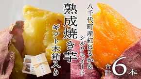 【 先行予約 2025年1月以降発送 】 oimo_tokyo 木箱入り 熟成 焼き芋 八千代町産 ( 紅はるか＆シルクスイート ) 6本セット ギフト 冷蔵 冷やし やきいも 食物繊維 さつまいも 美容 健康 スイーツ おやつ 小分け 茨城県産 [BY005ya]