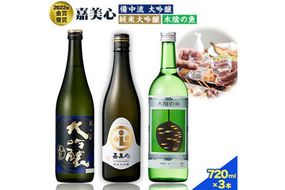 嘉美心 2022年金賞受賞 3本セット 720ml 純米大吟醸 備中流大吟醸 木陰の魚 各1本 計3本 化粧箱入 《30日以内に出荷予定(土日祝除く)》 嘉美心酒造株式会社 岡山県 浅口市 日本酒 酒 送料無料---124_197_30d_23_19000_3---