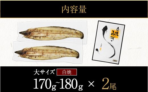 鹿児島県大隅産　千歳鰻の白焼鰻「大」2尾【CH159】
