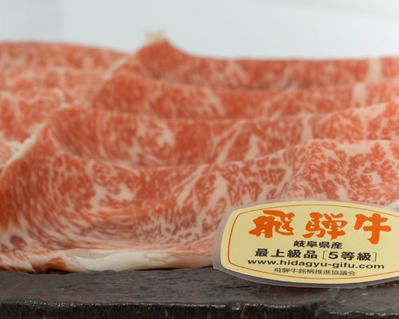 y򕌌RszX傱莓 ˋA5@[XĂp@1.1kg [No.083]