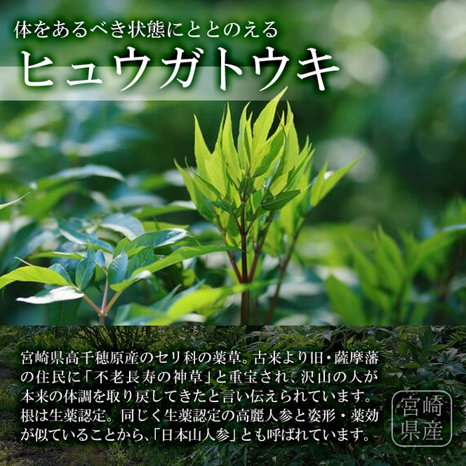 天然国産山人参酒 超低周波