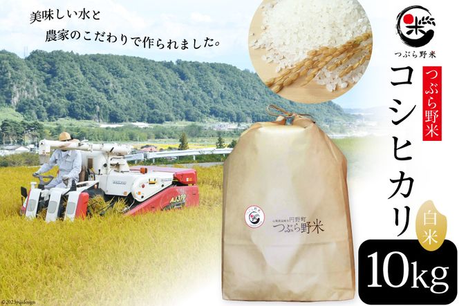 米 令和6年 新米予約 つぶら野米 コシヒカリ 白米 10kg [つぶら野米 山梨県 韮崎市 20741901] こめ コメ お米 精米 こしひかり