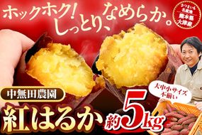 熊本県大津町産 中無田農園の紅はるか 約5kg (大中小サイズ不揃い) 熊本県大津町 《12月上旬-12月末頃出荷(土日祝除く)》 さつまいも 芋 スイートポテト 干し芋にも 名産地 特産品 秋 旬---fn_nkmtben_ac12_24_8000_5000g--