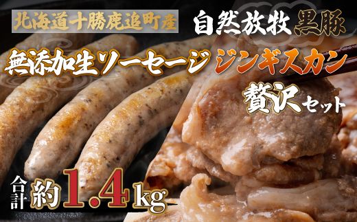 ykCǒzǎY RqؖY\[Z[WWMXJґZbg SKN004