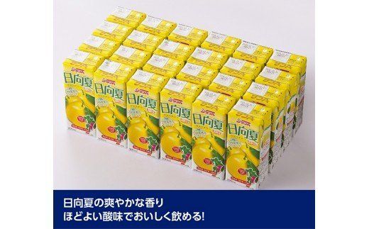 サンA日向夏ドリンク200ml×24本セット  [F3022]