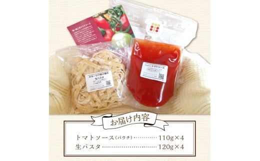 北海道オホーツク産トマト使用 トマトソースと生パスタの4食セット ( 麺類 パスタ トマトソース トマト なつのしゅん ソース付き セット 詰め合わせ 生パスタ )【100-0001】