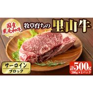 国産黒毛和牛 牧草育ちの里山牛 サーロインブロック 500g b1-015