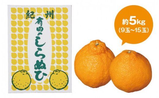 【厳選手選別】 たなか農園 有田のしらぬひ 約5kg（9玉～15玉）BU07