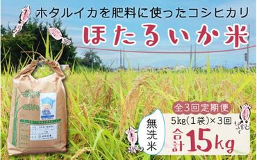 【訳あり】ほたるいか米（無洗米５kg）×3回 計15kg【3ヶ月定期便】