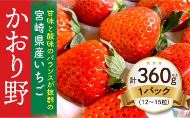 10ページ目）いちごの返礼品一覧 | ふるさと納税サイト「ふるさと