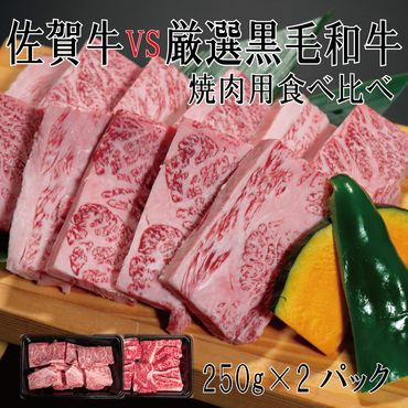 DX033_佐賀牛×厳選黒毛和牛　焼肉用食べ比べ250g×2　/みやき町