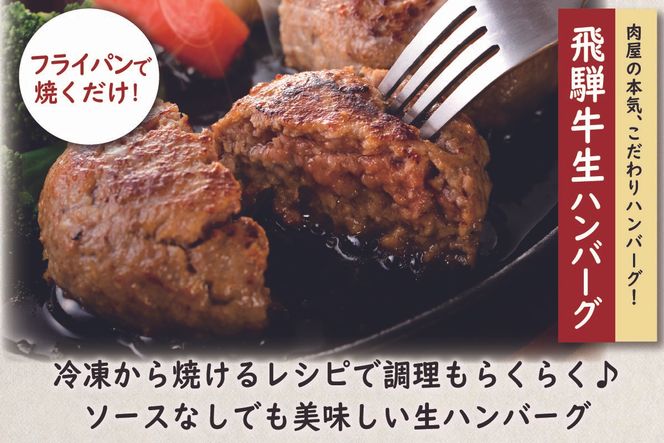 飛騨牛ハンバーグ食べ比べセット【0016-001】