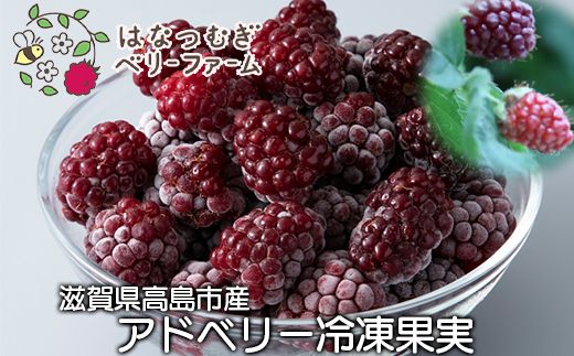 はなつむぎベリーファーム アドベリー冷凍果実(300g×6)[高島屋選定品]