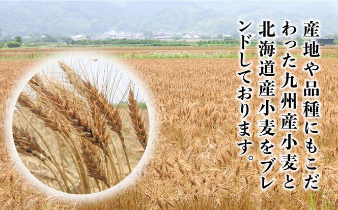 島原手延そうめん 山道そうめん 国産小麦 100 / 50g×5束×2袋 / そうめん 素麺 麺 乾麺 / 南島原市 / そうめんの山道 [SDC003]