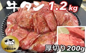 牛タン 熟成牛 塩タン 味付 1kg（200g×5パック）厚切り牛塩タン味付 200g付＜お肉のスーパーやまむらや＞