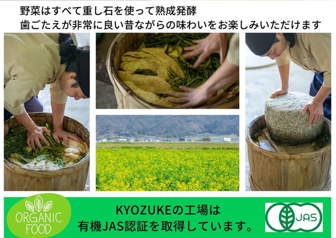 京のお野菜漬けセット 10種《京漬物 京野菜 漬物 無添加 発酵食品》