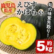 ＜先行予約受付中！2025年5月以降発送予定＞鹿児島県産 えびすかぼちゃ(約5kg) 国産 野菜 かぼちゃ カボチャ 南瓜 煮物 天ぷら バーベキュー BBQ スイーツ お菓子 期間限定【松永青果】a-12-282-z