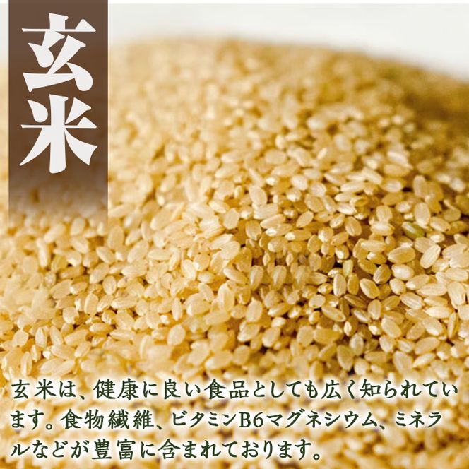 a902 選べる!竹ん粉米(白米4kg・玄米4kg・白米＆玄米4kg・白米2kg・玄米2kg)米 お米 白米 玄米 精米 選べるお米 セレクト 組み合わせ自由【夢竺山株式会社】