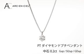 J013-1 アルカンシェル プラチナ ダイヤ プチペンダント（計0.2ct）【鑑別書付き ジュエリー プレゼント ギフト ファッション アクセサリー 贈り物 贈答 お祝い 記念日】