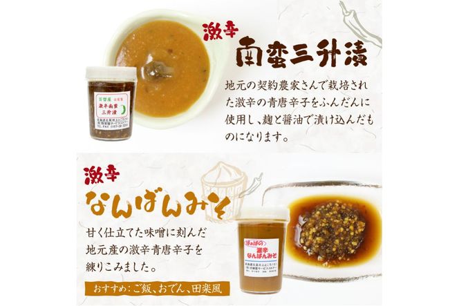 山わさび醤油漬他詰合せ ( わさび しょうゆ漬け 漬物 セット 詰め合わせ )【032-0003】