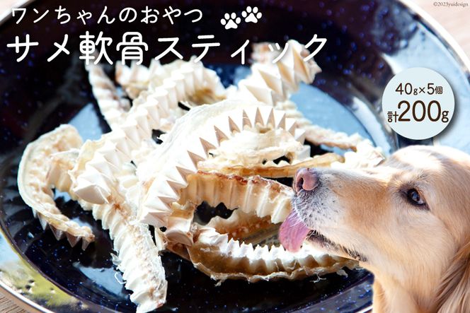 y{錧CszUMINO PET TXeBbN 40g×5 [ΓnX {錧 Cs 20563958] ybgt[h hbOt[h   p ybg  Ic Y CY T L 