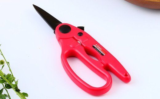 H8-121 花バサミ TDG-2