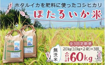 【訳あり】ほたるいか米（無洗米20kg）×3回 計60kg【3ヶ月定期便】