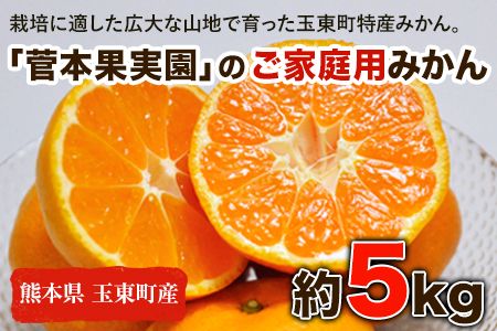 ご家庭用『菅本果実園』のご家庭用みかん★約5kg(2S-2Lサイズ) フルーツ 秋 旬[日付指定不可]★熊本県玉名郡玉東町 全国にファン多数!エコファーマー菅本さんのみかん♪『菅本果実園』ちょこっと訳あり[11月下旬-12月末頃出荷]---sg_wsugamikan_cf11_24_7500_5kg---