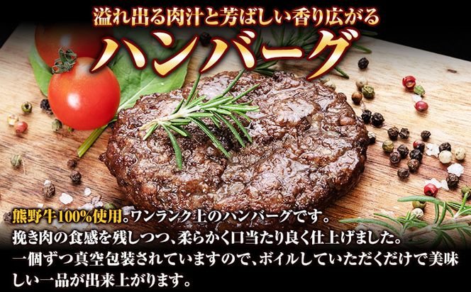 熊野牛 自家製ハンバーグ 10個入り(粉山椒付) 澤株式会社(Meat Factory)《30日以内に出荷予定(土日祝除く)》 和歌山県 日高町 熊野牛 牛 うし 牛肉 加工品 ハンバーグ 山椒 送料無料---wsh_fswkkhb_30d_22_25000_10p---