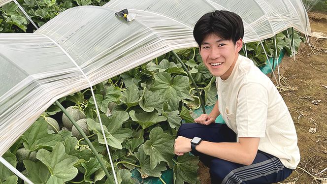【 先行予約 2025年6月中旬 以降発送】 令和7年産 八千代町産 タカミメロン 優以上 1箱 （ 3 ～ 5玉 入り） 期間限定 産地直送 果物 フルーツ メロン 甘い [CL002ya]
