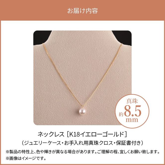 ペンダントトップ 18金 イエローゴールド あこや真珠ペンダント ペンダントトップ 18金 イエローゴールド あこや真珠ペンダント