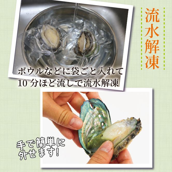 贅沢おつまみセット 燻製あわび 3個 蒸しあわび 6個 [ 鮑 アワビ 刺身 冷凍 翡翠あわび 翡翠鮑 個包装 国産 海鮮 無添加 養殖 小分け 肉厚 燻製 おつまみ ] [hisui006]