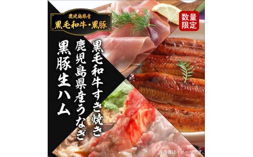 黒豚・黒毛和牛・うなぎ　鹿児島味の極み便B（すき焼き）　K086-014