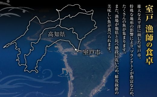 【訳あり】土佐漁師の完全藁焼き かつおのたたき 約8～10人前 約800g (たたきのタレ・室戸海洋深層水の塩付き) 不揃い かつお カツオのたたき 鰹 カツオ たたき 海鮮
