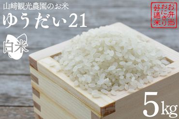 AU006　山﨑観光農園のお米　令和5年産　ゆうだい21　白米5kg