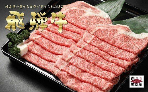 飛騨牛【定期便3回】「飛騨牛食べ比べセット × 3回」冷蔵配送・焼肉・しゃぶしゃぶ・すき焼き 224