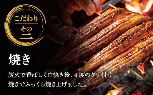 鹿児島県産うなぎ使用 冷凍うなぎめし 2食セット ※離島への配送不可 FAA-078