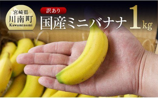 [訳あり]国産ミニバナナ1kg [F5801]