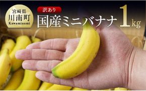 【訳あり】国産ミニバナナ１ｋｇ [F5801]