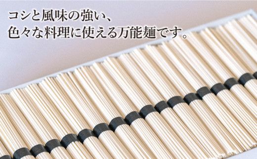 手延べうどん 3kg （50g×60束）/ うどん ウドン 饂飩  麺 めん 乾麺 / 南島原市 / 池田製麺工房 [SDA008]