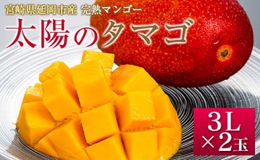 宮崎県延岡市産　完熟マンゴー「太陽のタマゴ」　3L×2個（2024年5月上旬発送開始）　N026-ZC207