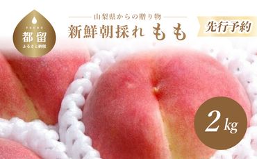 FB001 【2024年 先行予約】日本一の産地山梨県産　朝採れ桃２kg(５～８玉）
