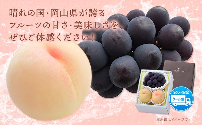 【2026年先行予約】桃・ピオーネ詰め合わせ 約1kg クール便 冷蔵便 桃 もも 葡萄 ブドウ ぶどう ピオーネ フルーツ セット 先行予約 晴れの国おかやま館 《2026年8月下旬‐9月中旬頃出荷》 フルーツ 果物 果実 岡山県 笠岡市---H-22a---