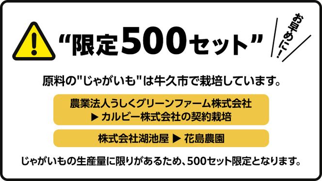 【 人気スナック菓子 3ヶ月 定期便 】 カルビー 湖池屋 人気 24種 詰め合わせ バラエティ セット カルビー 湖池屋 ポテチ スナック菓子 ( お楽しみ 24袋 ) BIGBAG 堅あげポテト ( 3種 各4袋 ) のりしお コンソメパンチ うすしお ブラックペッパー 焼きのり お菓子 おかし 大量 スナック おつまみ ジャガイモ じゃがいも まとめ買い 定期便 頒布会 数量限定 [DA018us]