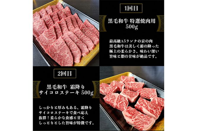 訳あり 京都府産黒毛和牛(A4・A5)人気部位 6回定期便 【焼肉・すき焼き・ステーキ2種・しゃぶしゃぶ・ローストビーフ 計2.54kg】 京の肉 ひら山 味わいづくし ≪定期便 和牛 牛肉 国産 京都 丹波産 冷凍 ふるさと納税牛肉 ふるさと納税焼肉≫