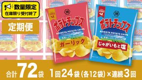 【 湖池屋 3ヶ月 定期便 】湖池屋 ポテトチップス 2種類アソート （じゃがいもと塩・ガーリック）（各12袋・計24袋 ×３回） ポテチ お菓子 おかし 大量 スナック おつまみ ジャガイモ じゃがいも まとめ買い スナック菓子 頒布会 数量限定 [DA048us]